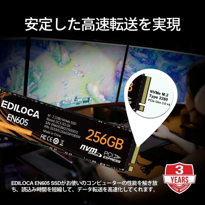 EDILOCA EN605 SSD 256GB PCIe Gen 3.0x4 NVMe1.3 M.2 2280