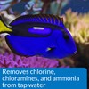 API MARINE STRESS COAT Saltwater Aquarium Water Conditioner 16-Ounce Bottle