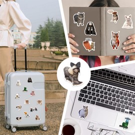 Cat Meme Stickers, Funny Cat Stickers for Kids Journaling Adults Kawaii,Cute Waterproof Vinyl Sticker for Water Bottles Laptops 50Pcs