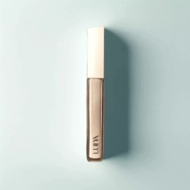 Luna 루나 롱래스팅 팁 컨실러 픽싱핏 바닐라 1호 Luna Long Lasting Tip Concealer Fixing Fit Vanilla #1 [Vanilla 1 + 1]