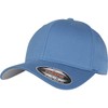 Flexfit Baseball Cap in Bundle with UD Skull Bandana in