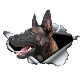 Car Sticker Belgian Malinois Car Sticker Reflective Sticker 25 cm (9.8 Inch) 3D Torn Metal Sticker Waterproof Belgian Shepherd Pet Dog Sticker