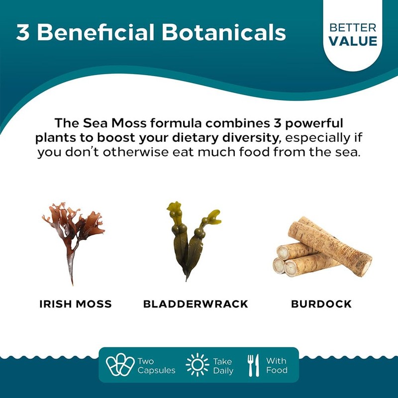 NutraCreek Sea Moss | Irish Sea Moss Capsules with Bladderwrack,