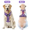 Tacwild No Pull Dog Harness - Adjustable Reflective Dog Vest