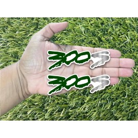 Badge Addictz 300 S Drip Car Emblem Badges Custom New Racing Aggressive Green / White Silver S
