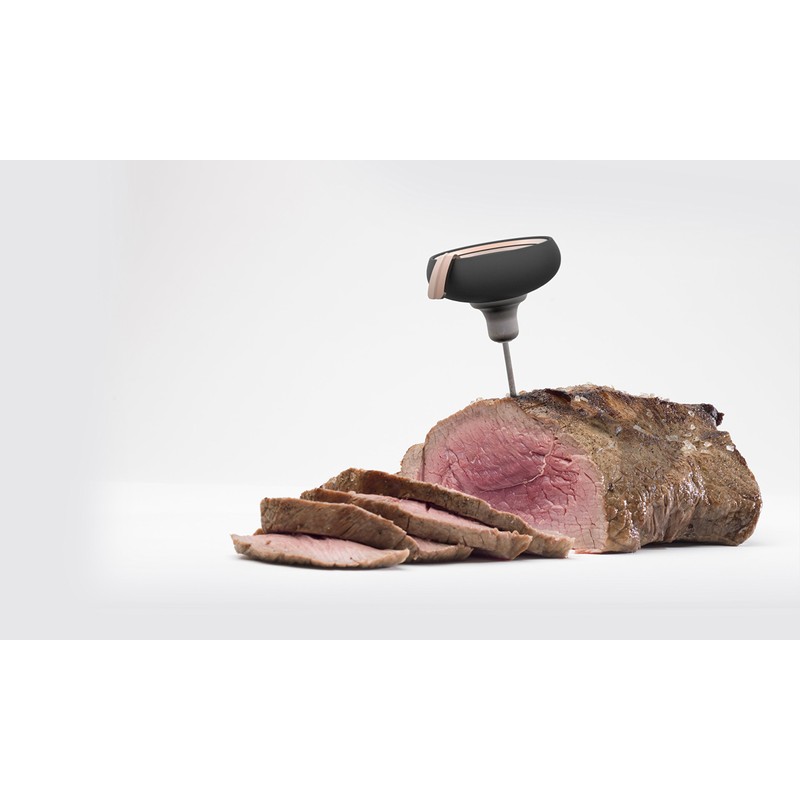 Evolution Hot Stuff Meat Cooking Thermometer - Induction Cooking Thermometer