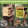 Extra Large Wooden Squirrel House Feeder Outdoor Heavy Duty Nesting