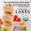 Thousand Lakes Freeze Dried Fruit - ORGANIC Strawberries 2-pack 1.1