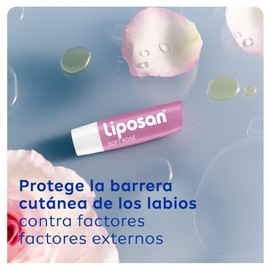 Liposan Soft Rosé (1 x 4.8 g), Lip Balm Pink, Cocoa for Gentle, Radiant Shine, Moisturising Balm for Silky and Hydrated Lips