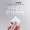 Mini Fai-da-te Smart Switch Small Case WiFi Remote Control Outdoor