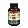 Lifetime Calcium Magnesium Zinc w/Vitamin D | Support Bone, Muscle