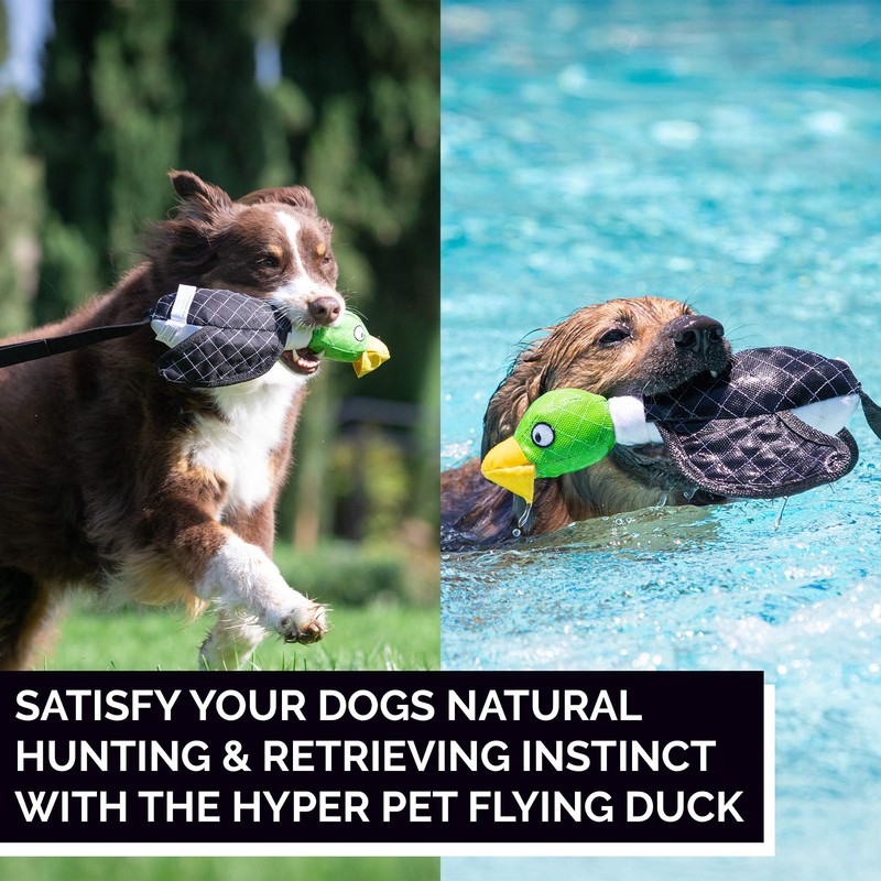 Hyper Pet Flying Duck Toy, Green