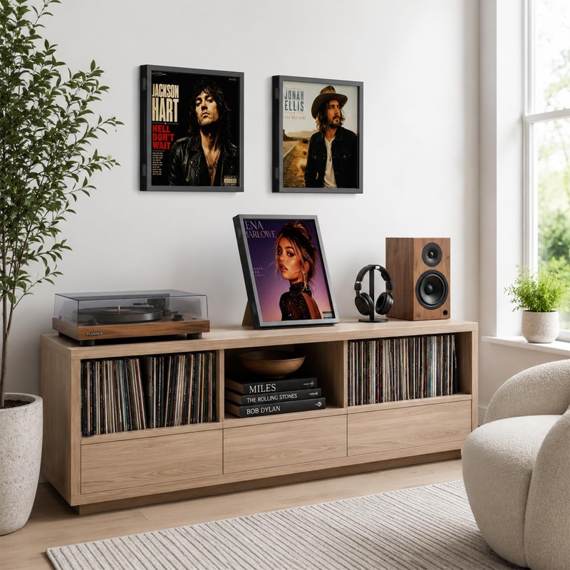 efunny 4-Pack Vinyl Record Display Frame for Wall Mount &