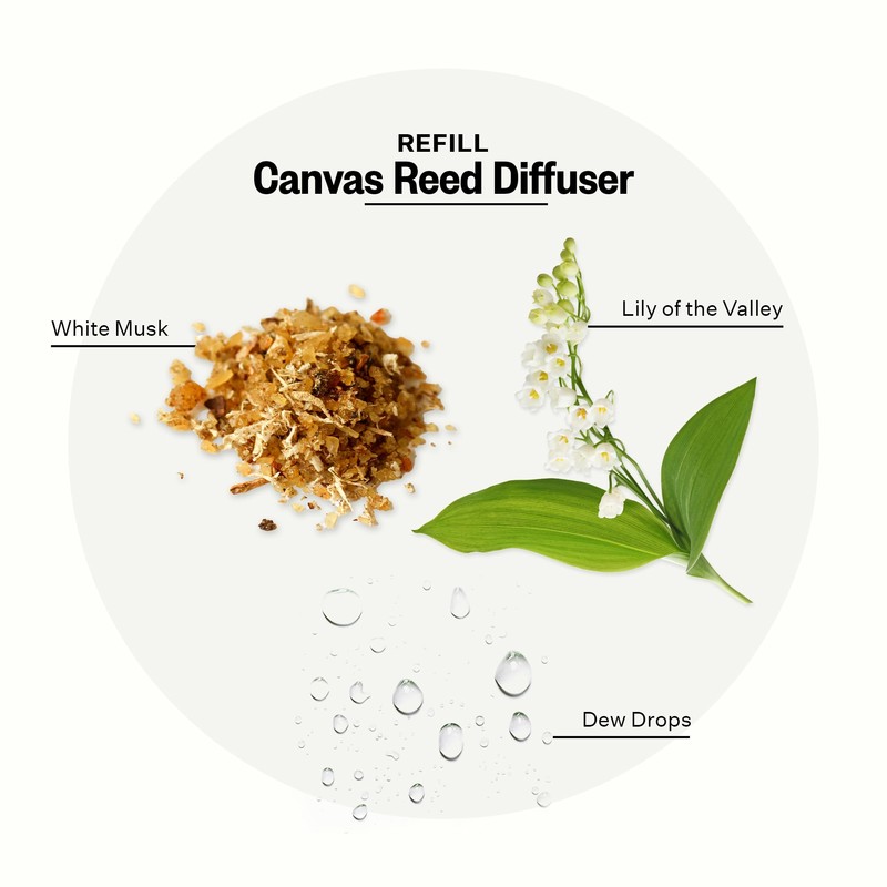 Apotheke Luxury Scented Oil Reed Diffuser Liquid Refill (Canvas) -