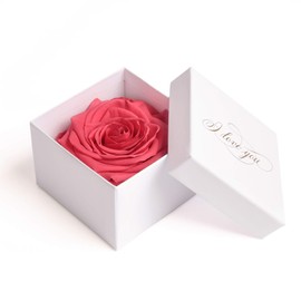 Infinity Rose Preserved Rose Box I Love You Gift for Women, white-pink
