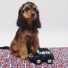 Pet London British Taxi Dog Toy - UK style squeaker