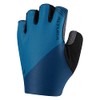Altura Airstream Mitts - Blue - Xxl