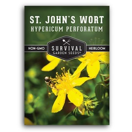 St. John's Wort Seeds for Planting - 1 Seed Packet with Instructions to Plant & Grow Beneficial Perennial Herbs in Your Home Herb Garden - Non-GMO Heirloom Variety Herb Seed - Survival Garden Seeds