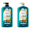 Pack Shampoo Y Acondicionador Herbal De Aceite Argan 865ml