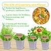 Indoor Herb Garden Kit, 9 Non-GMO Seeds with Reusable Pots,