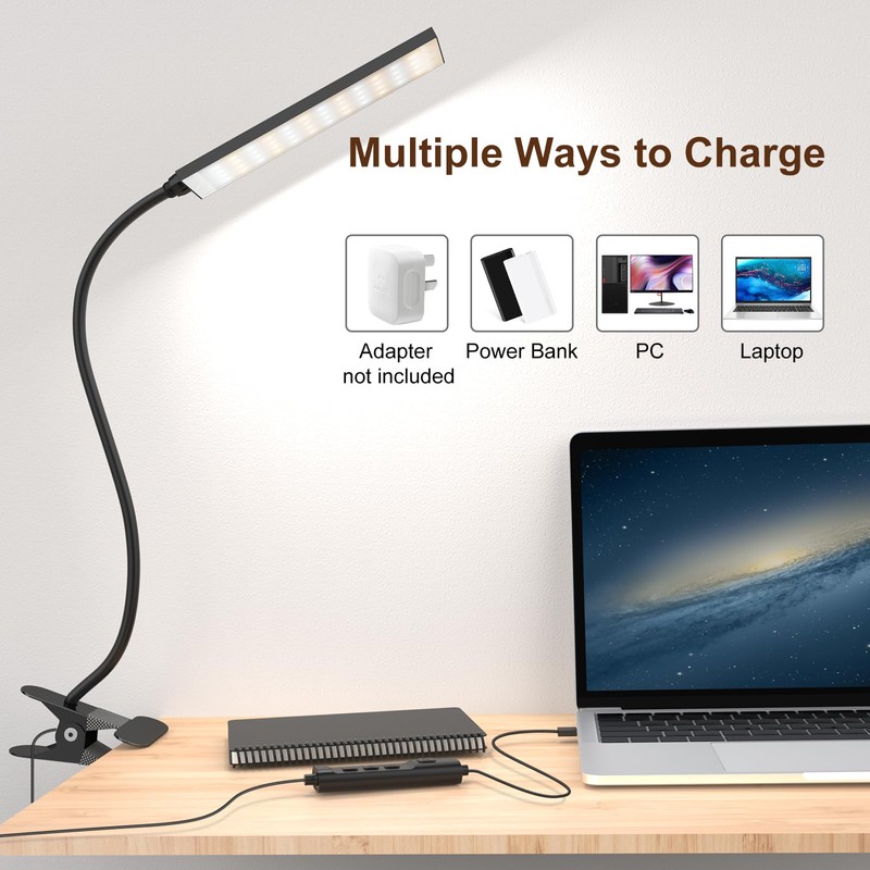 LINTYLE Clip on Desk Lamp, 5W LED Reading Light, 400