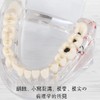 UKYCEORA Transparent Disease Teeth Model, Dental Implant Bridge Dental Teaching