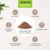 Hericium Powder from 10:1 Extract, 100 g, Highly Concentrated, Free