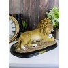 Lion and The Lamb Statue With Base And Brass Plate