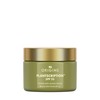 Origins Plantscriptionâ"¢ SPF 25 Power Anti-Aging Cream