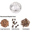 SEZDEKI Bearded Dragon Feeder Toy - Reptile Foraging Ball Lizard