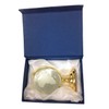 Amlong Crystal Etched Crystal Globe on Brass Colored Base -
