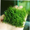 SUPVOX 5Pcs Stainless Steel Aquarium Mesh Nets Wear Resistant Wire