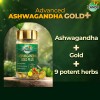 Zandu Ashwagandha Gold Plus 60 Cápsulas