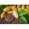 Food to Live Organic Cacao Nibs, 1 Pound – Unsweetened,