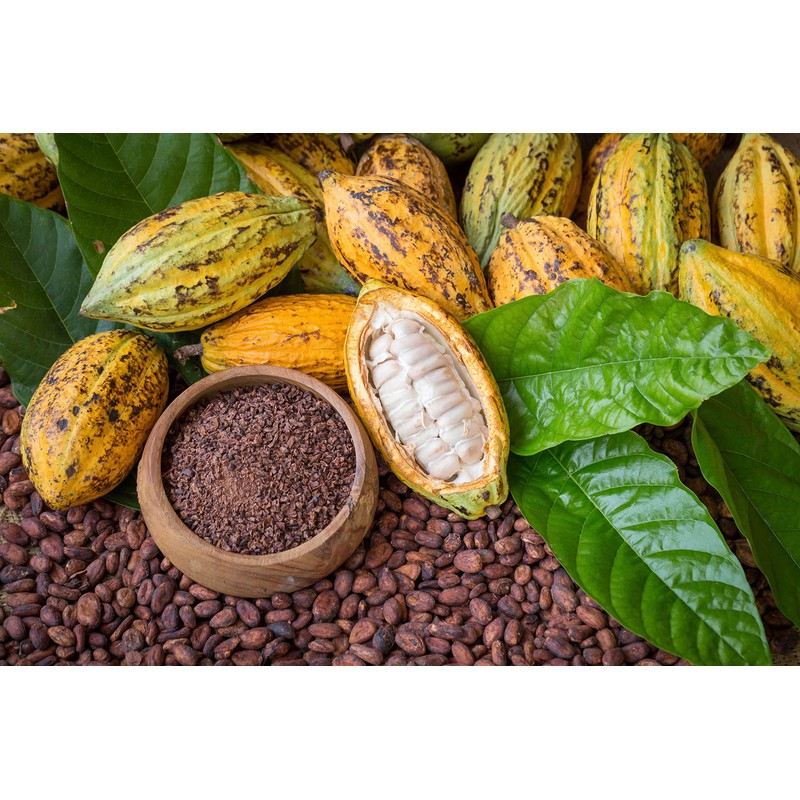 Food to Live Organic Cacao Nibs, 1 Pound – Unsweetened,