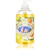 Nesti Dante Liquid Soap Dolce Vivere Capri 500 ml
