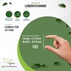Liver Vitamins: Milk Thistle Alpha Lipoic Acid, Artichoke, Vitamins C,