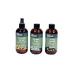 Oasis Forage Hurry Hydrate Treatment for Fresh Cut Flowers, Ready