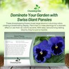 Outsidepride Blue Ullswater Viola Pansy Seeds for Planting - 1,000