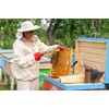 ImkerPur Organic Flower Pollen 200 g in Premium Beekeeper Quality