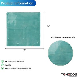 Bali Square 5x5 Aqua Green Handcrafted Zellige Porcelain Handmade Floor Wall Pool Tile Backsplash (Box of 30 Pieces (10 Sqft))