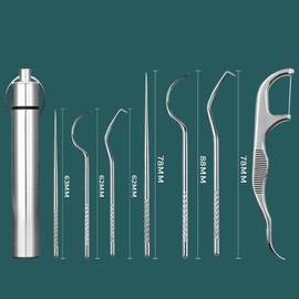 304 Stainless Steel Toothpick Set, 7 Pieces Toothpicks, Reusable, with 1 Portable Toothpick Holder, Toothpick for Travel, Portable Toothpicks, for Outdoor Picnic and Camping