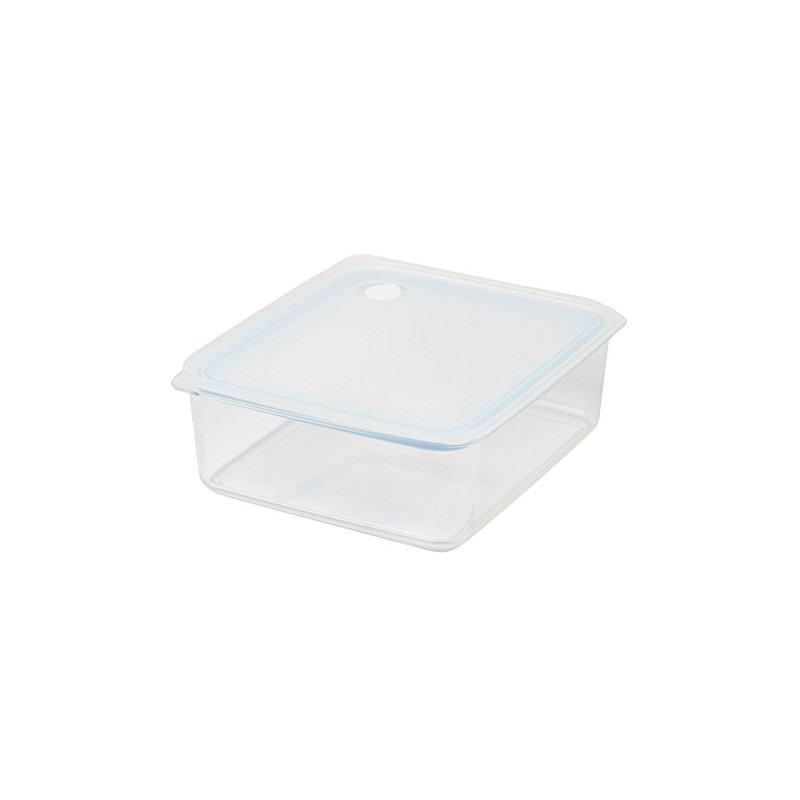 Pearl Metal HB-2632 Easy Clean Deep Sealed Storage Container, L,