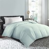 Hotel Grand Color Feather And Down Comforter - King