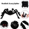 Halloween Spider Web Decoration