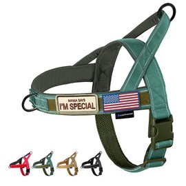 Annchwool No Pull Dog Harness with Soft Padded Handle,Reflective Strip Escape Proof and Quick Fit to Adjust Dog Harness,Easy for Training Walking for Small & Medium and Large Dogs(Green,XL)