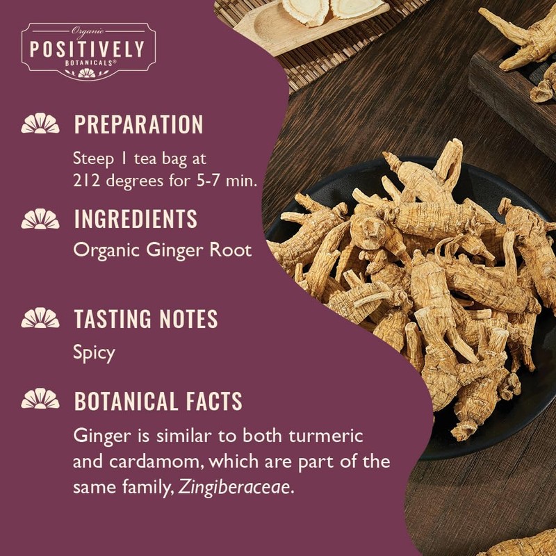 Organic Positively Botanicals Company, Ginger Root Herbal Tea Bags, 20