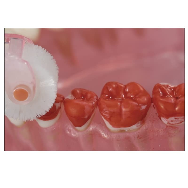 プラークリムーバー クルン 折りたたみ式 レギュラーヘッド (ピンク)◆2本セット 日本製 くるん歯ブラシ 360度 歯ブラシ 回転