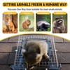 SNOMEL One-Way Raccoon Trap Outdoor Repellent Eviction, Cat Door for