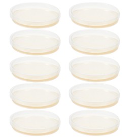 Generic Pre Poured Agar Plates:LB//Agar Plates Pre Poured Nutrient Agar Petri Dishes for Science Fair Projects(10 pcs)